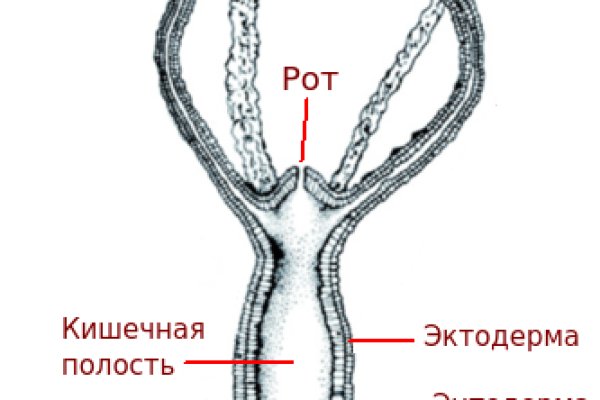 Ссылка кракен зеркало тор