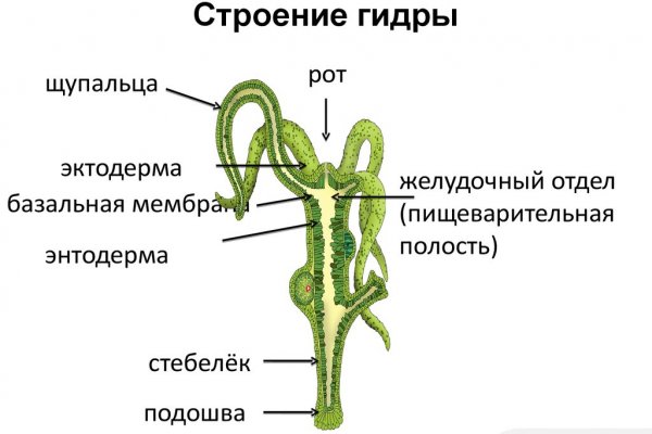 Работает ли кракен