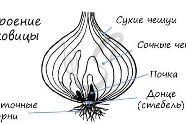 Ссылка кракен через тор