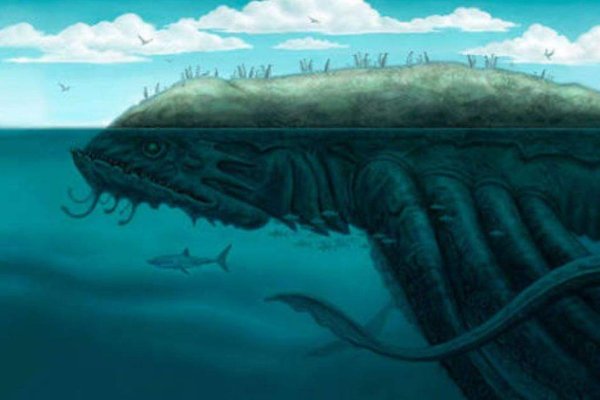 Kraken darknet kraken darknet 2n com